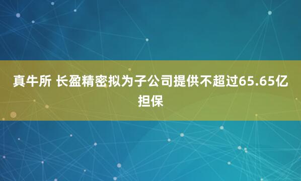 真牛所 长盈精密拟为子公司提供不超过65.65亿担保