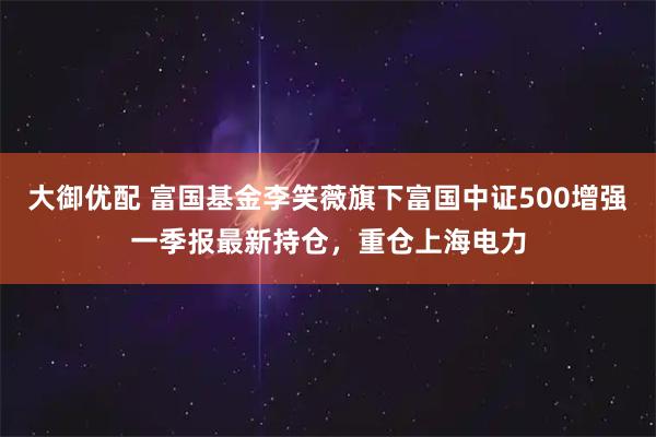 大御优配 富国基金李笑薇旗下富国中证500增强一季报最新持仓，重仓上海电力