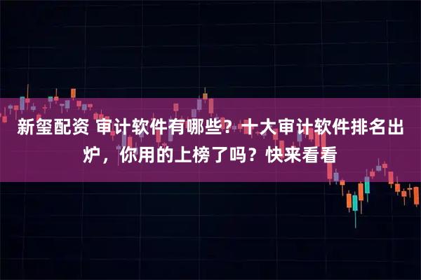 新玺配资 审计软件有哪些？十大审计软件排名出炉，你用的上榜了吗？快来看看