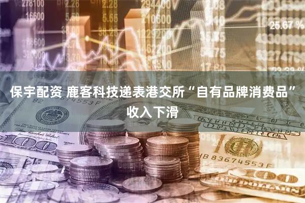 保宇配资 鹿客科技递表港交所“自有品牌消费品”收入下滑