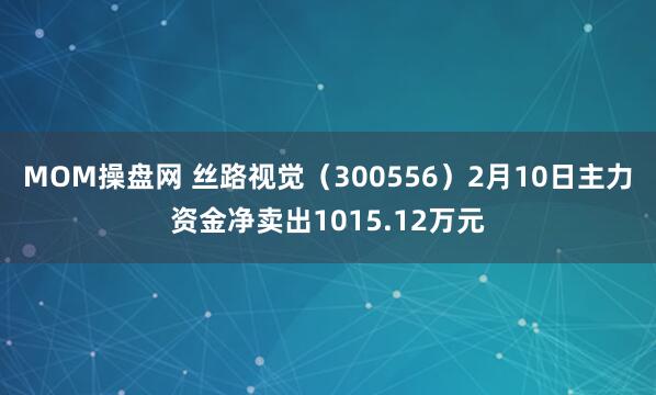 MOM操盘网 丝路视觉(300556)2月10日主力资金净卖出1015.12万元