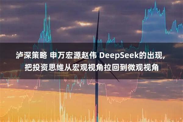 泸深策略 申万宏源赵伟 DeepSeek的出现, 把投资思维从宏观视角拉回到微观视角