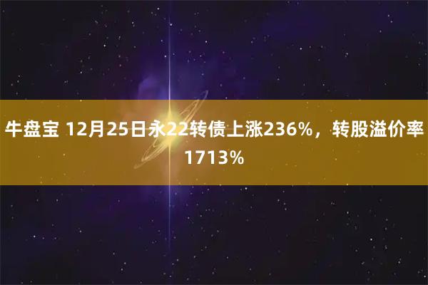 牛盘宝 12月25日永22转债上涨236%，转股溢价率1713%
