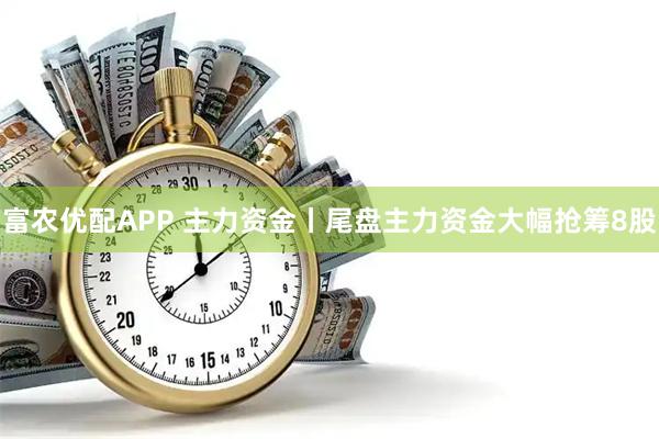 富农优配APP 主力资金丨尾盘主力资金大幅抢筹8股