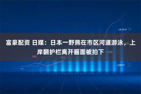 富豪配资 日媒：日本一野熊在市区河道游泳，上岸翻护栏离开画面被拍下