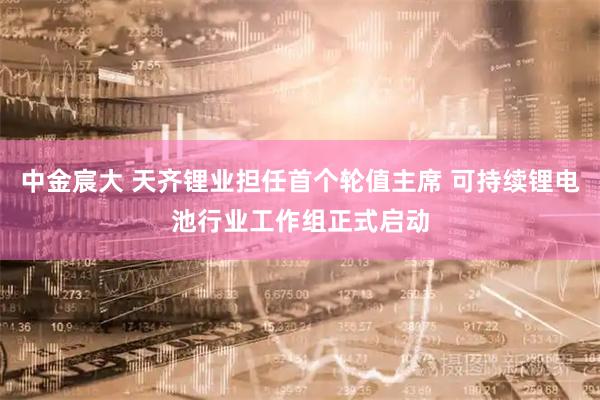 中金宸大 天齐锂业担任首个轮值主席 可持续锂电池行业工作组正式启动